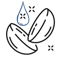 ilustración